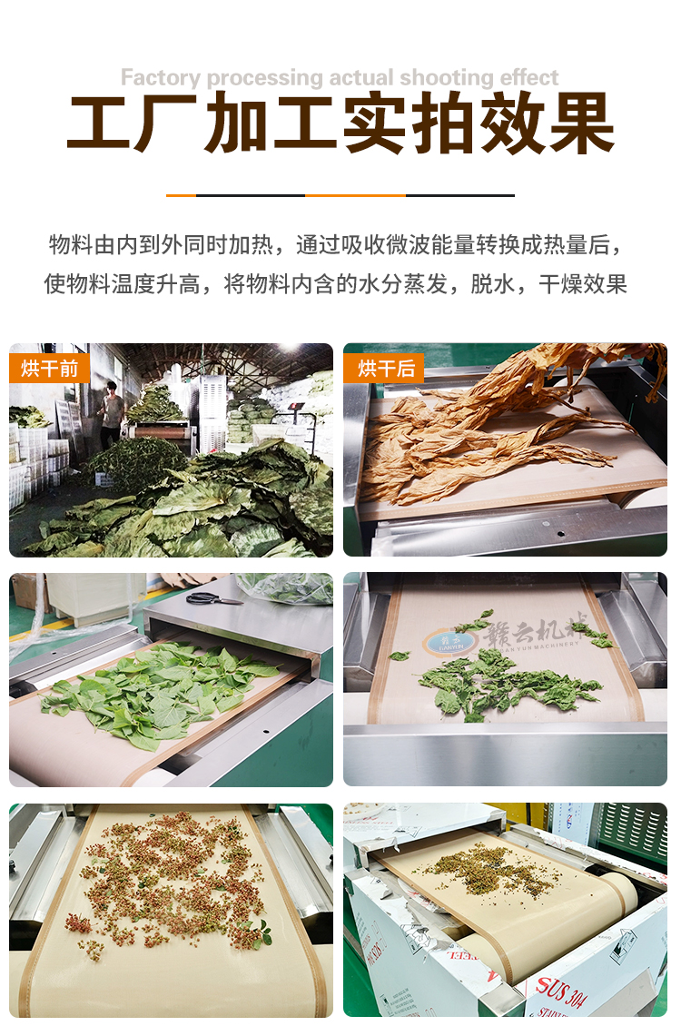 详情_10.jpg